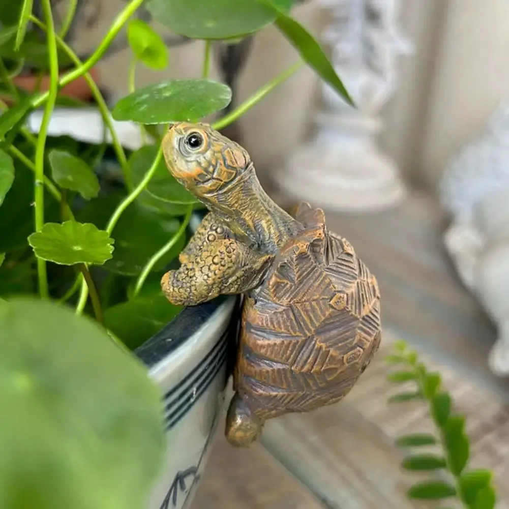 Fishing Turtle Hanging Turtle  - Aquarium Planted Aquarium のレビューと価格