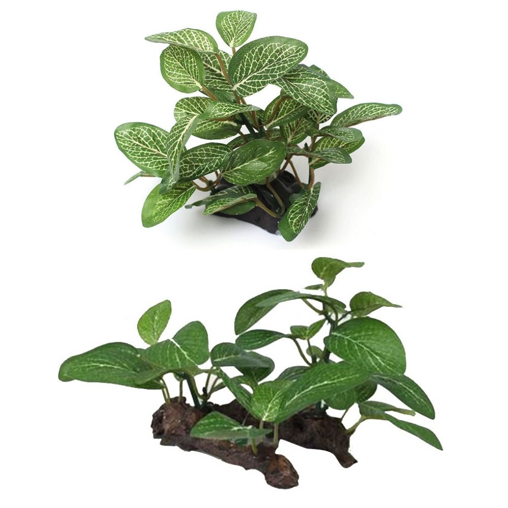 Decorative Plastic Faux Simula - Planted Aquarium Jar のレビューと価格