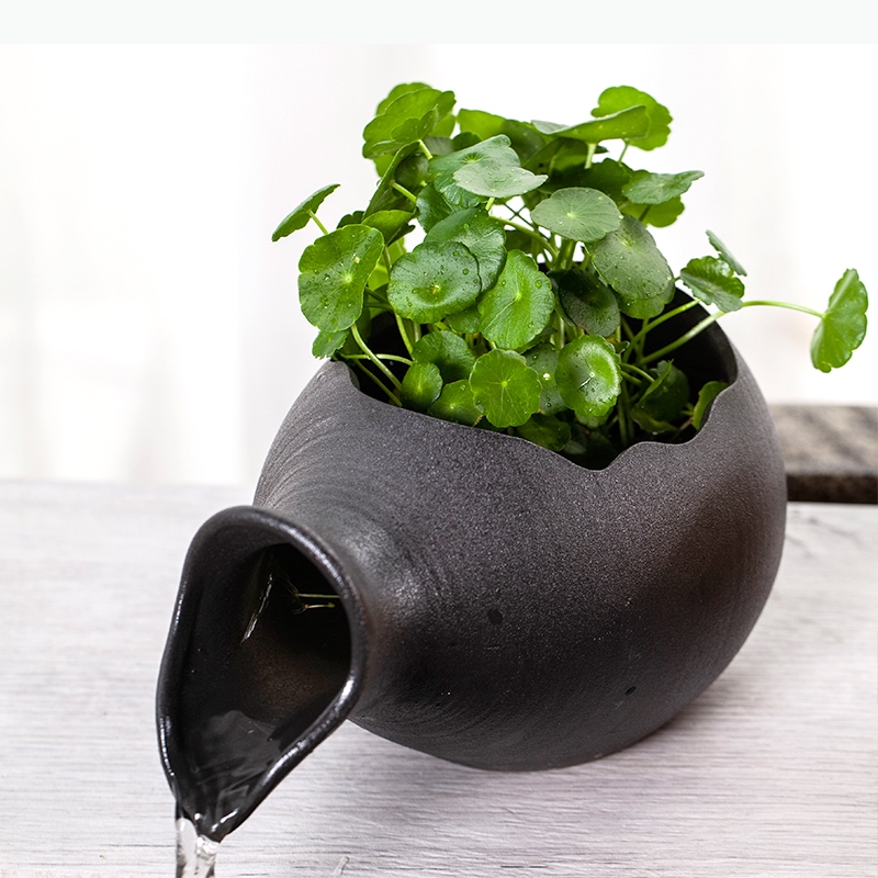 Ceramic Fish Aquariums Fish-fa - Planted Aquarium Jar のレビューと価格