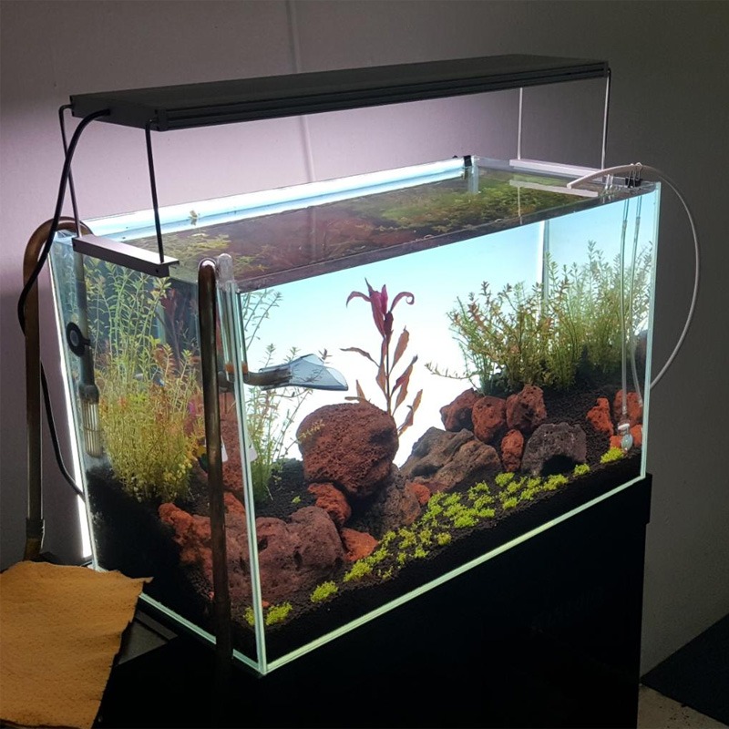 Best-Selling LED Aquarium Lamp - Planted Aquarium Best Fish のレビューと価格