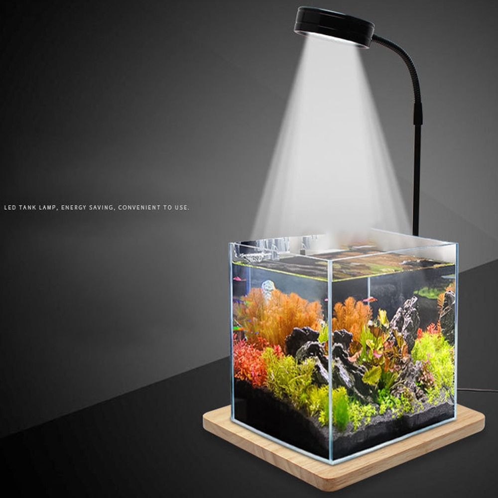 10W Fish Tank LED Lamp with Wo - Aquarium Plant On Wood のレビューと価格
