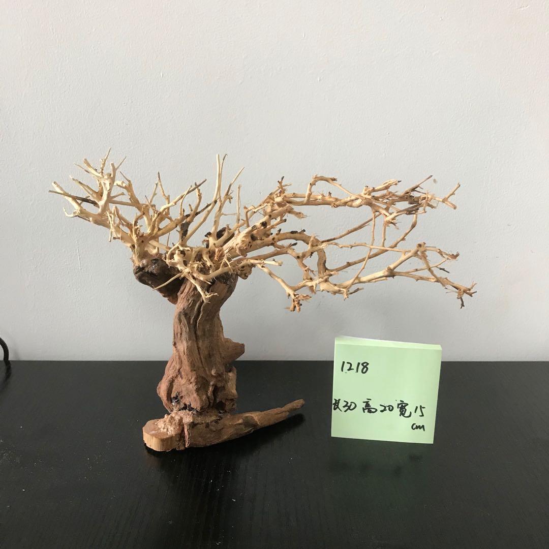 100% Handcraft Aquarium Bonsai - Aquarium Plant On Wood のレビューと価格
