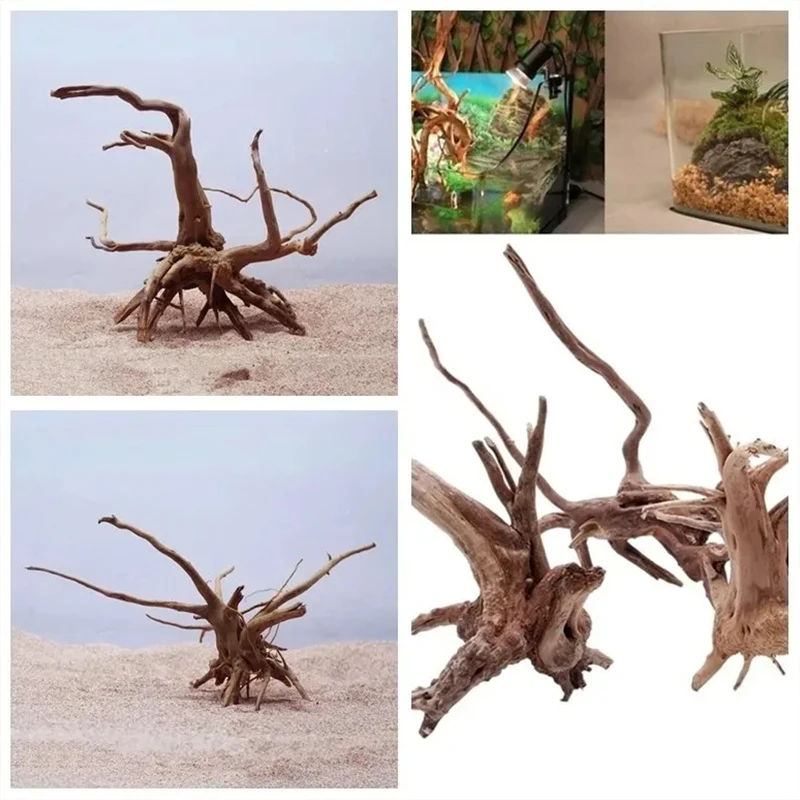 Natural Driftwood Cuckoo Roots - Aquarium Plant Root Tabs のレビューと価格