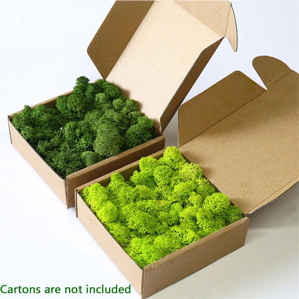 Artificial Plant Eternal Life  - Aquarium Plant Root Tabs のレビューと価格