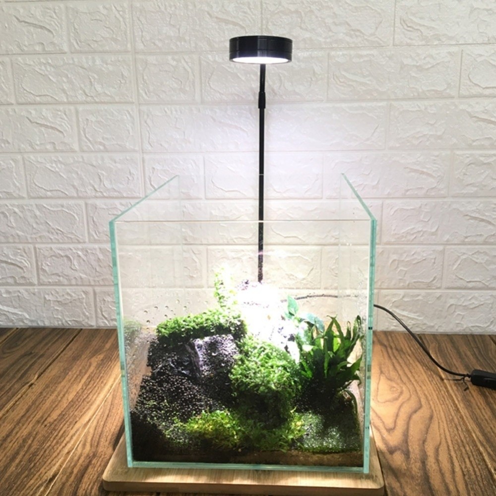 10W Fish Tank LED Lamp with Wo - Aquarium Plant On Wood のレビューと価格
