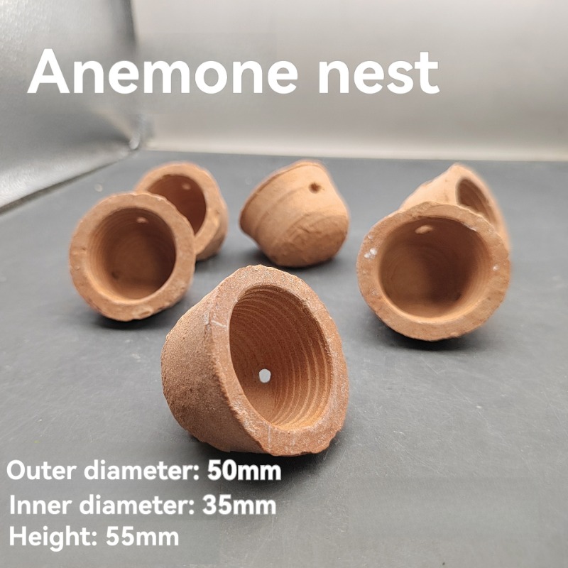 Anemone Nest Run-proof Coral J - Planted Aquarium Jar のレビューと価格