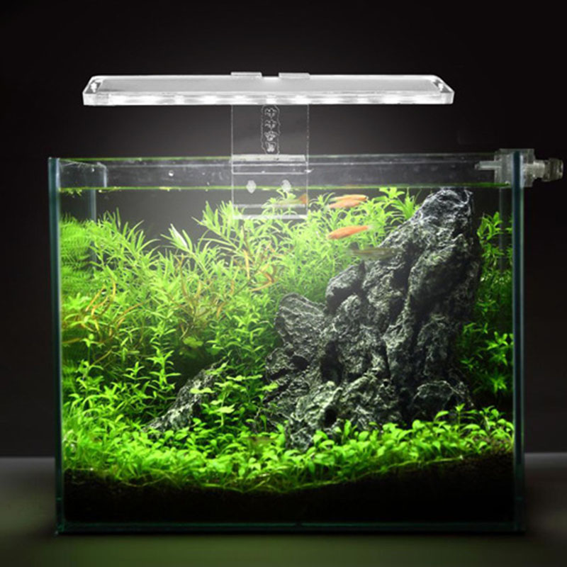 LED Aquarium Lamp Plant Light  - Planted Aquarium Best Fish のレビューと価格