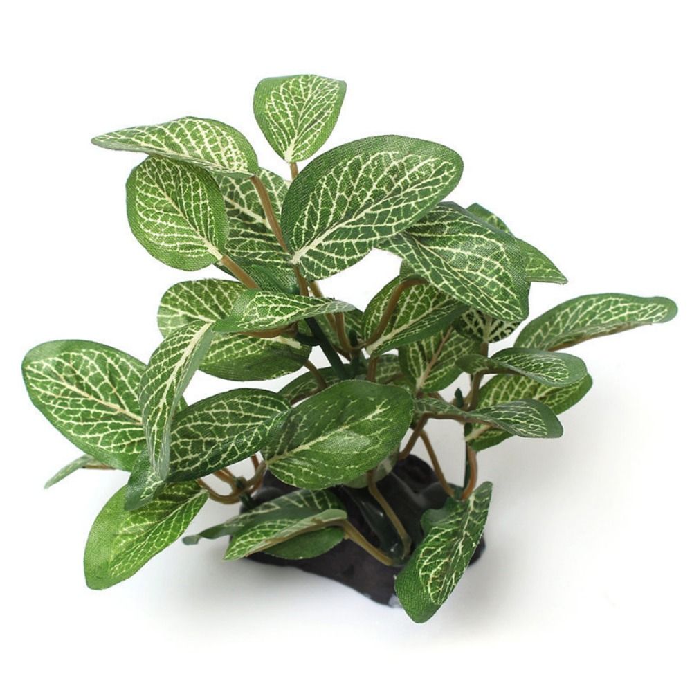Plastic Lifelike Green for Fis - Planted Aquarium Jar のレビューと価格