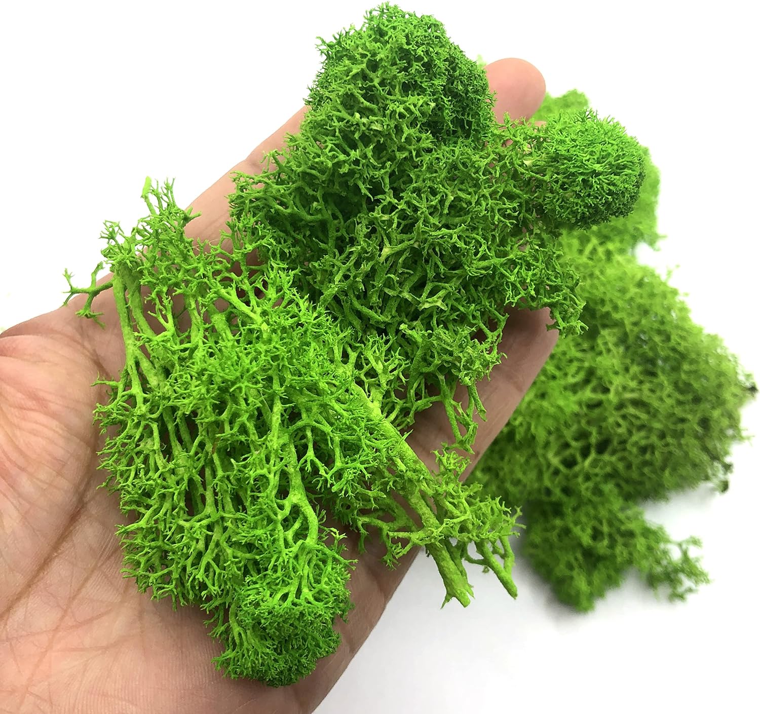 200g Artificial Green Plants M - Aquarium Plant Root Tabs のレビューと価格