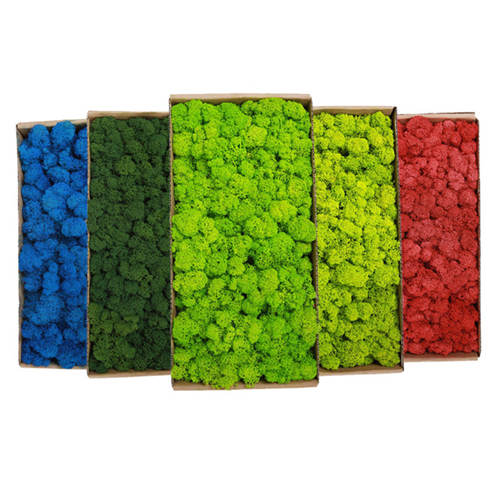 200g Artificial Green Plants M - Aquarium Plant Root Tabs のレビューと価格