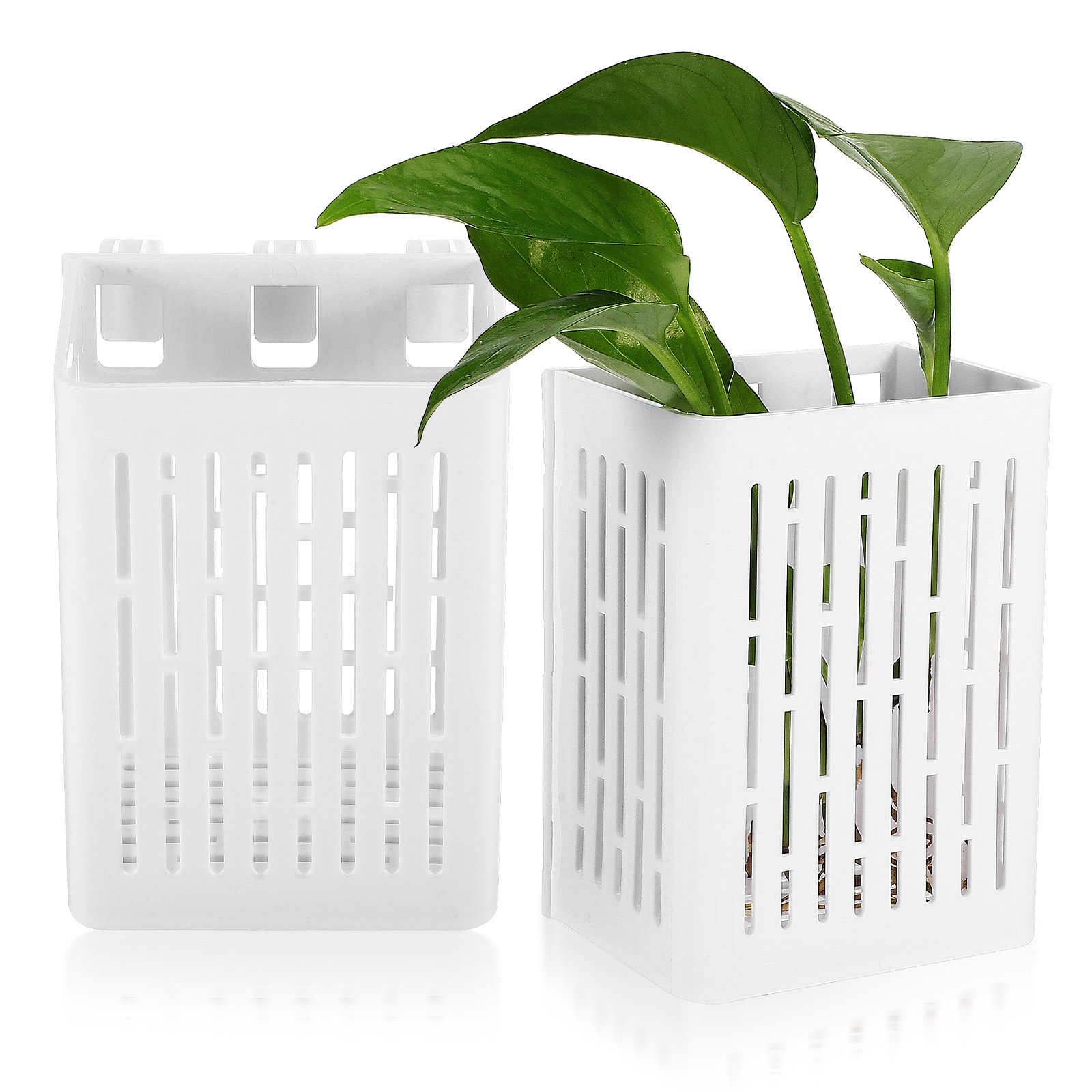 2pcs Aquarium Plant Baskets Pl - Aquarium Planted Aquarium のレビューと価格