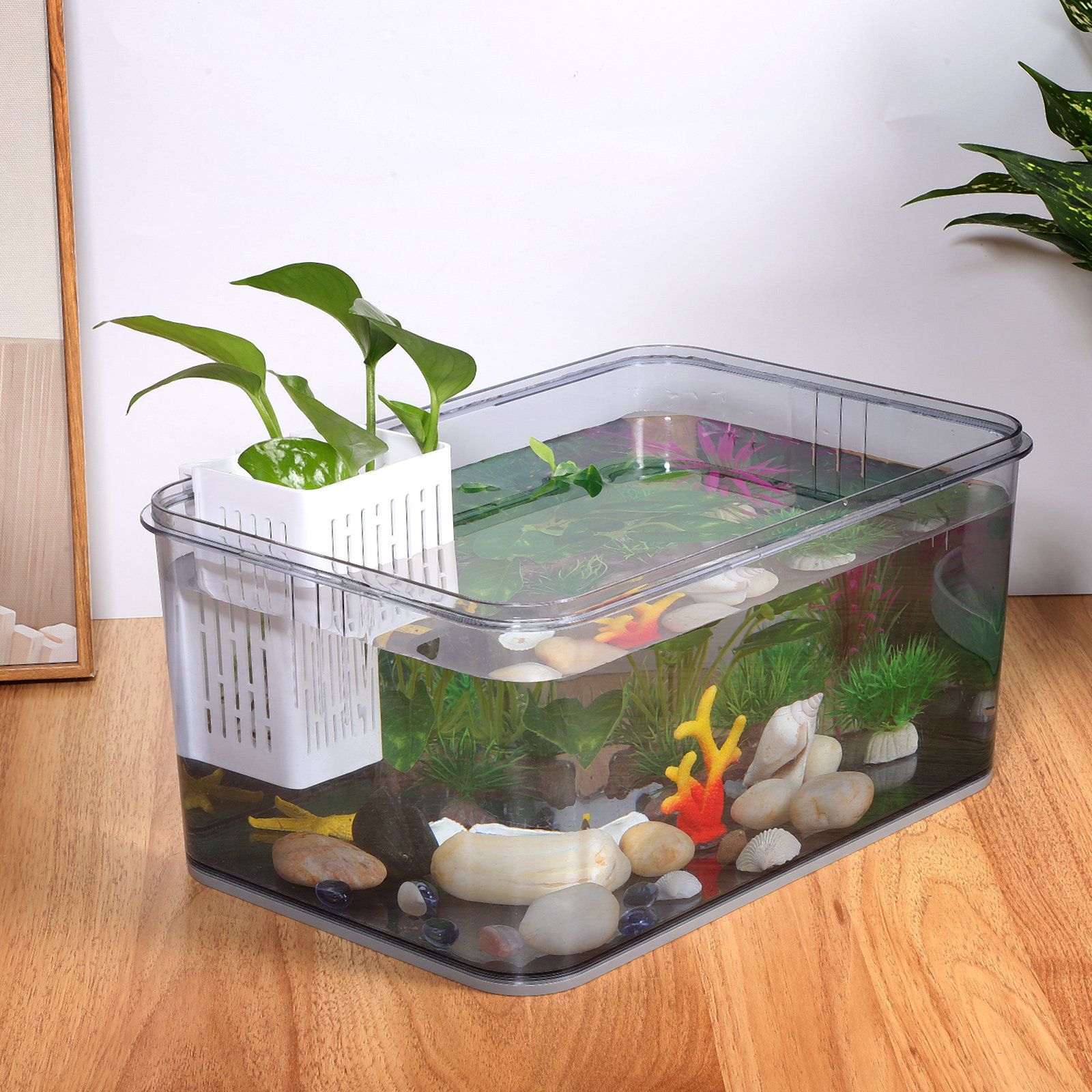 2pcs Aquarium Plant Baskets Pl - Aquarium Planted Aquarium のレビューと価格