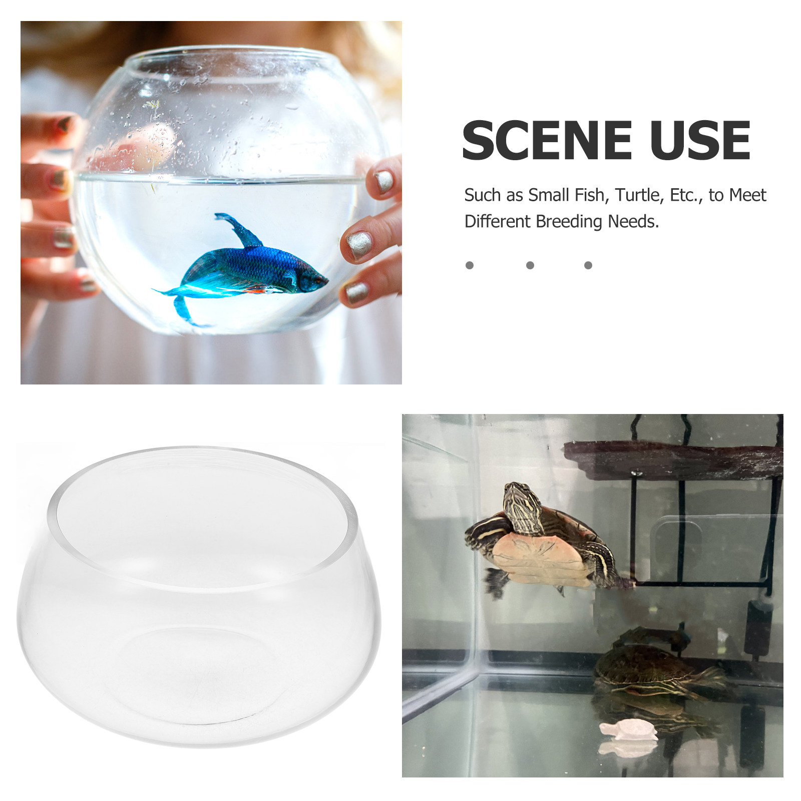 Round Clear Glass Mini Aquariu - Aquarium Planted Shop のレビューと価格
