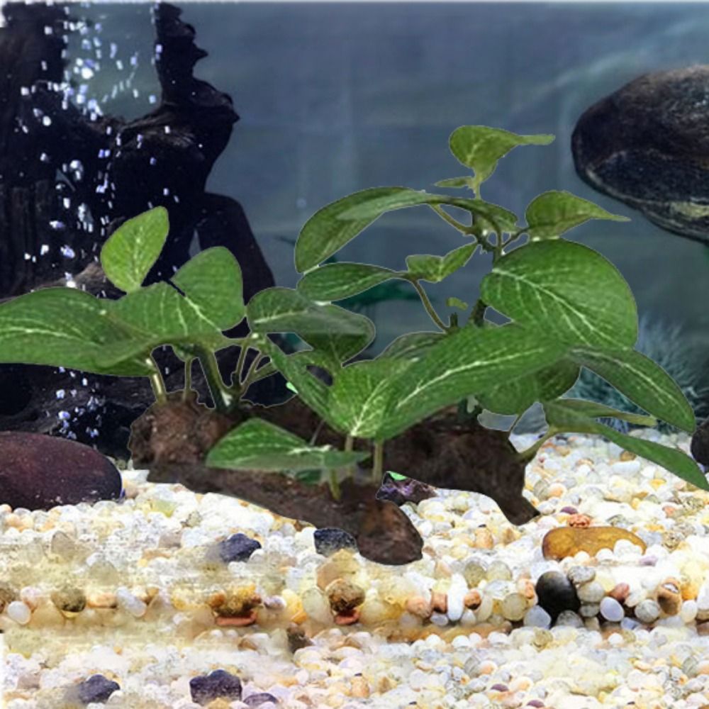 Silk Plastic Green for Fish Ta - Planted Aquarium Jar のレビューと価格