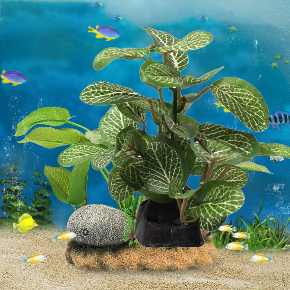 Silk Plastic Green for Fish Ta - Planted Aquarium Jar のレビューと価格