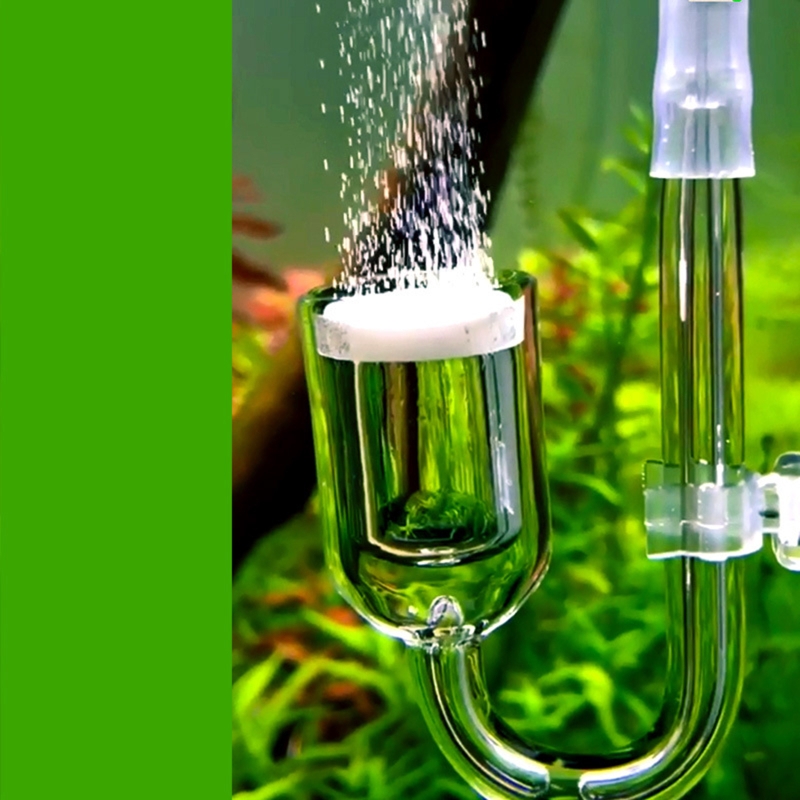 Nano CO2 Diffuser Glass Atomiz - Aquarium Plant Delivery のレビューと価格