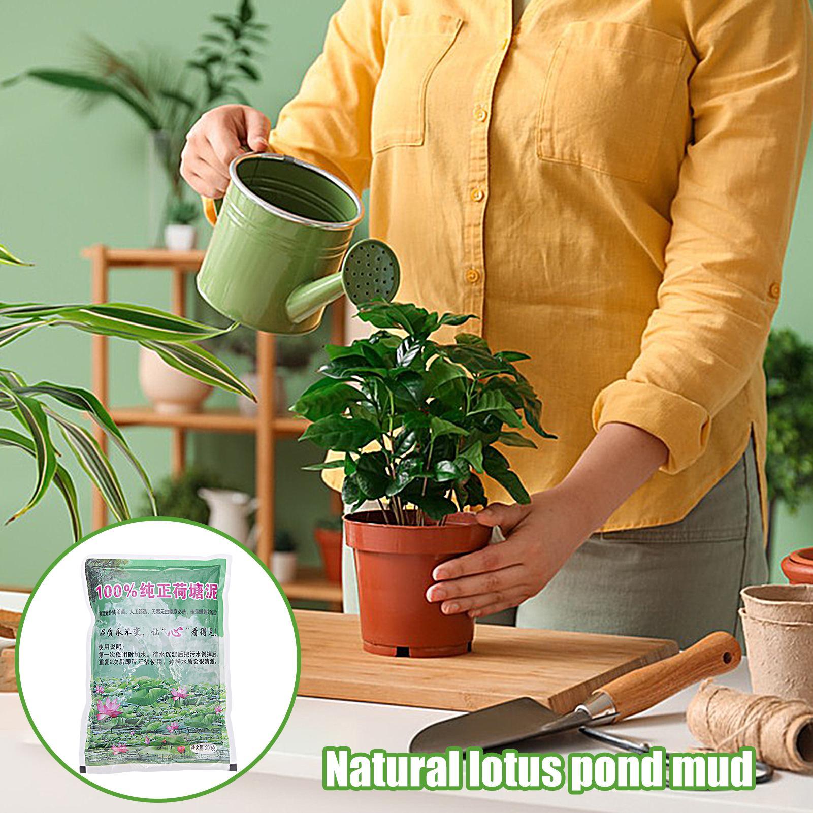 200g/bag Aquarium Soil Natural - Aquarium Plant Liquid Fertilizer のレビューと価格