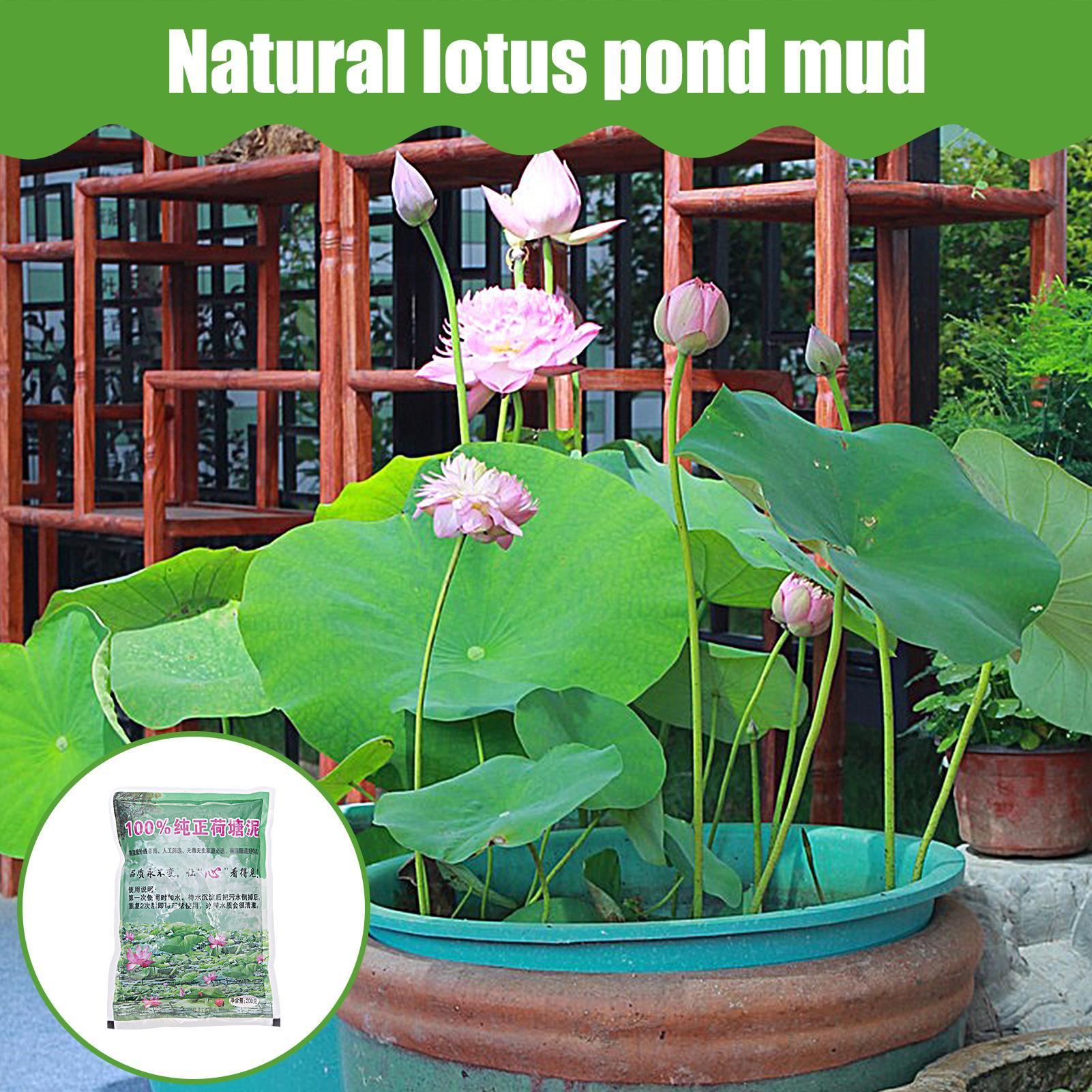200g/bag Aquarium Soil Natural - Aquarium Plant Liquid Fertilizer のレビューと価格