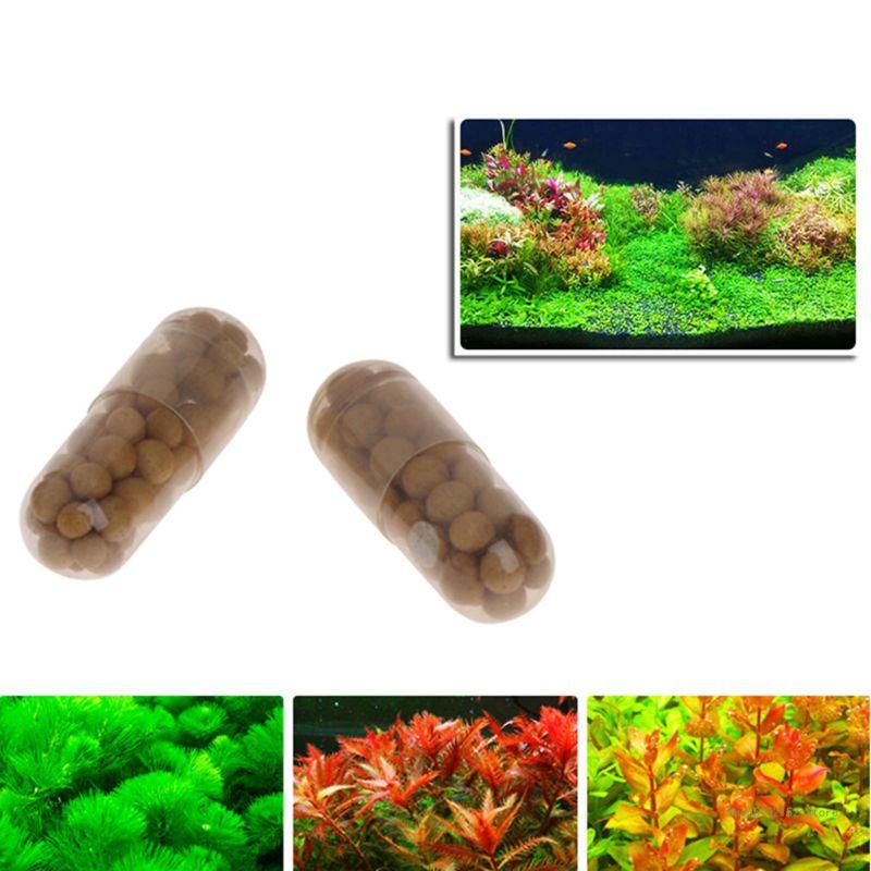 QX2E Aquarium Live Plant Ferti - Planted Aquarium Best Fish のレビューと価格