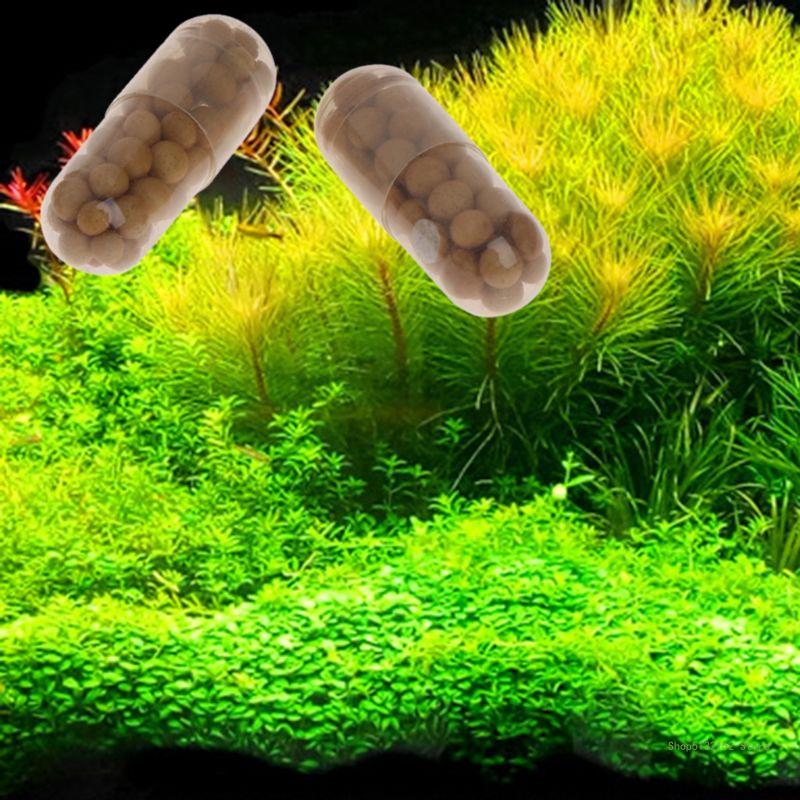 QX2E Aquarium Live Plant Ferti - Planted Aquarium Best Fish のレビューと価格
