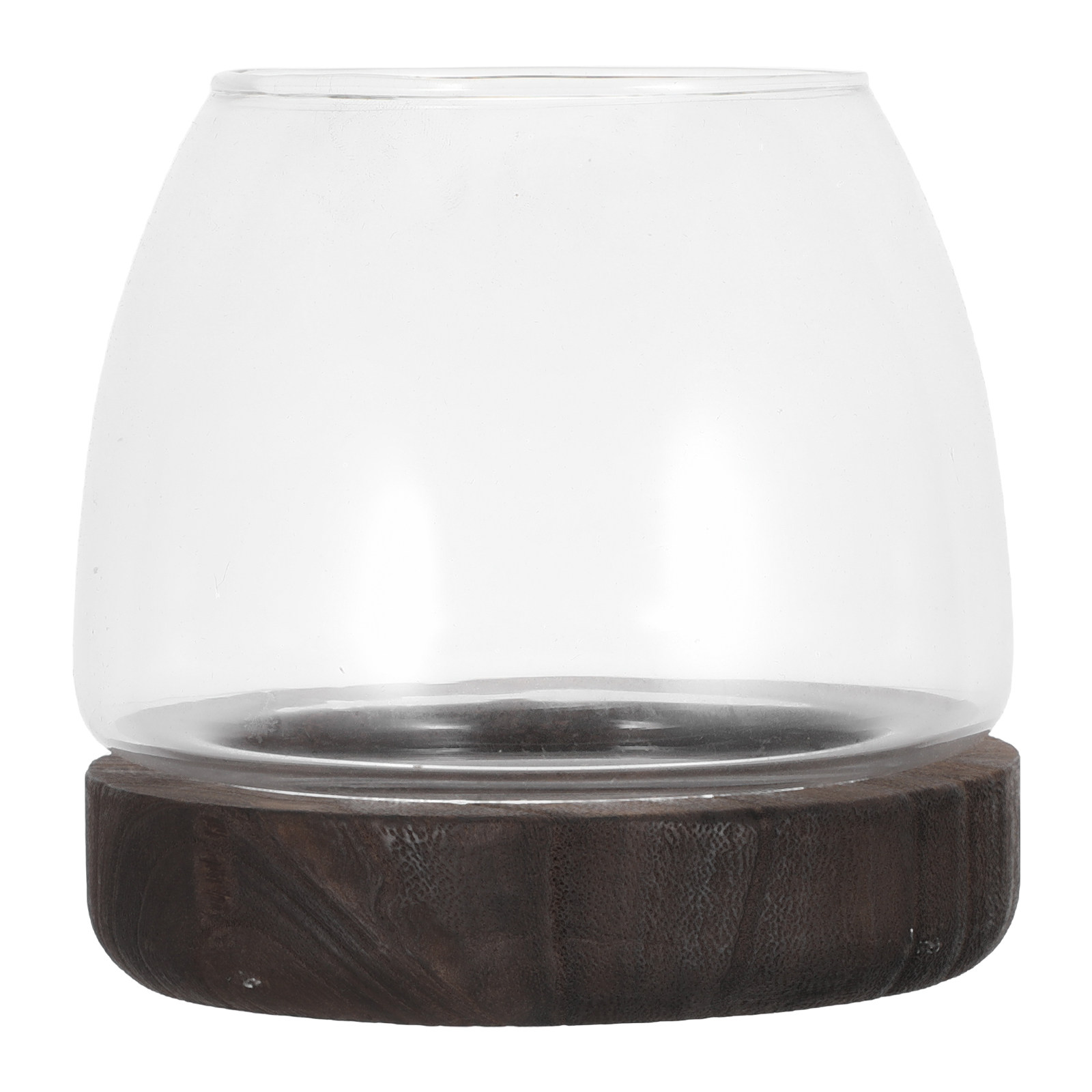 Round Clear Glass Hydroponic P - Planted Aquarium Jar のレビューと価格