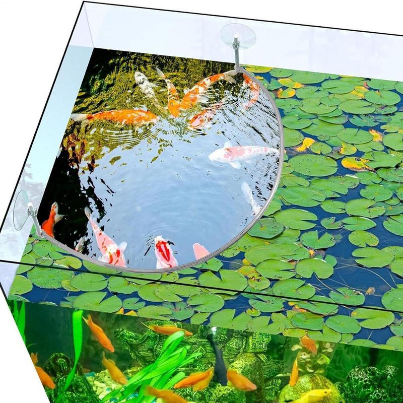 Floating Plant Corral Fish Fee - Aquarium Plant Delivery のレビューと価格