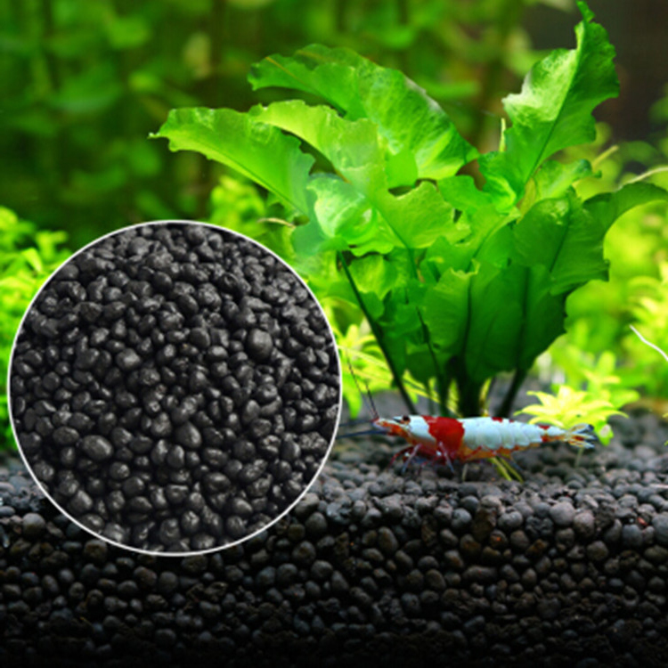Aquarium Plant Seeds Soil Fish - Aquarium Plant Root Tabs のレビューと価格