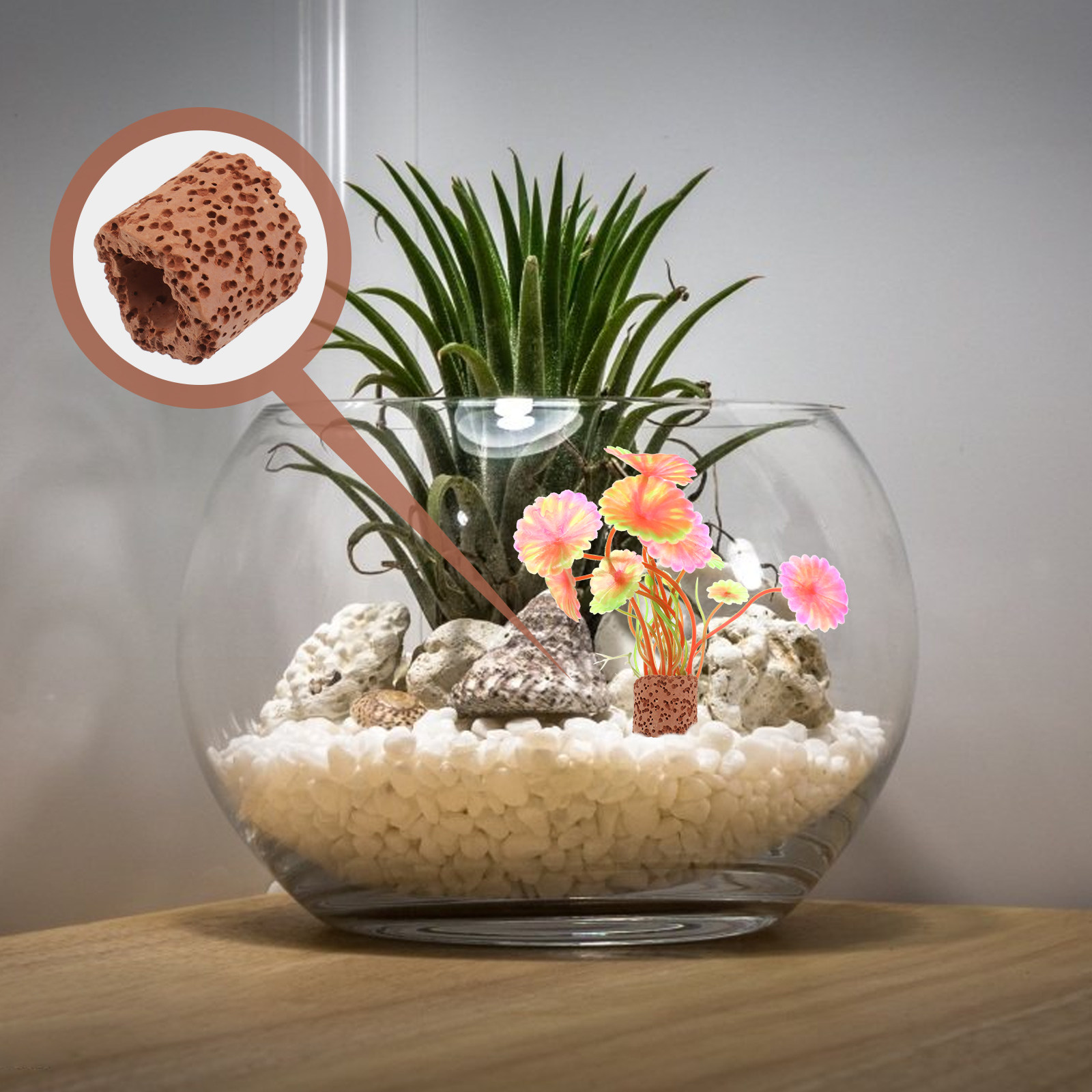 10Pcs Sturdy Water Plant Fixed - Aquarium Planted Aquarium のレビューと価格
