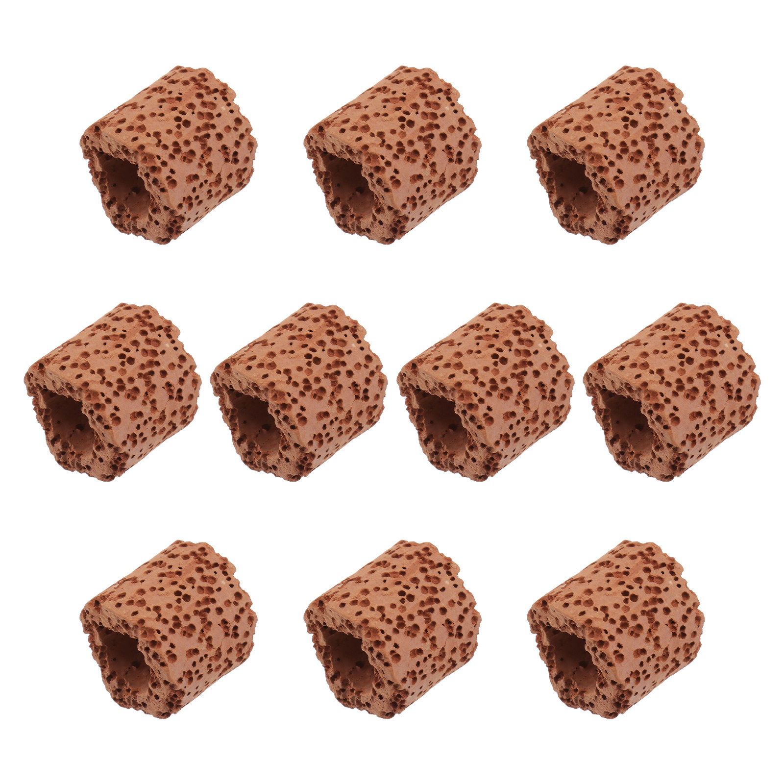 10Pcs Sturdy Water Plant Fixed - Aquarium Planted Aquarium のレビューと価格