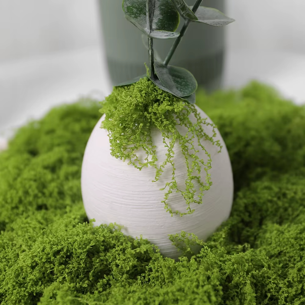 30/100g Artificial Green Plant - Aquarium Plant Root Tabs のレビューと価格