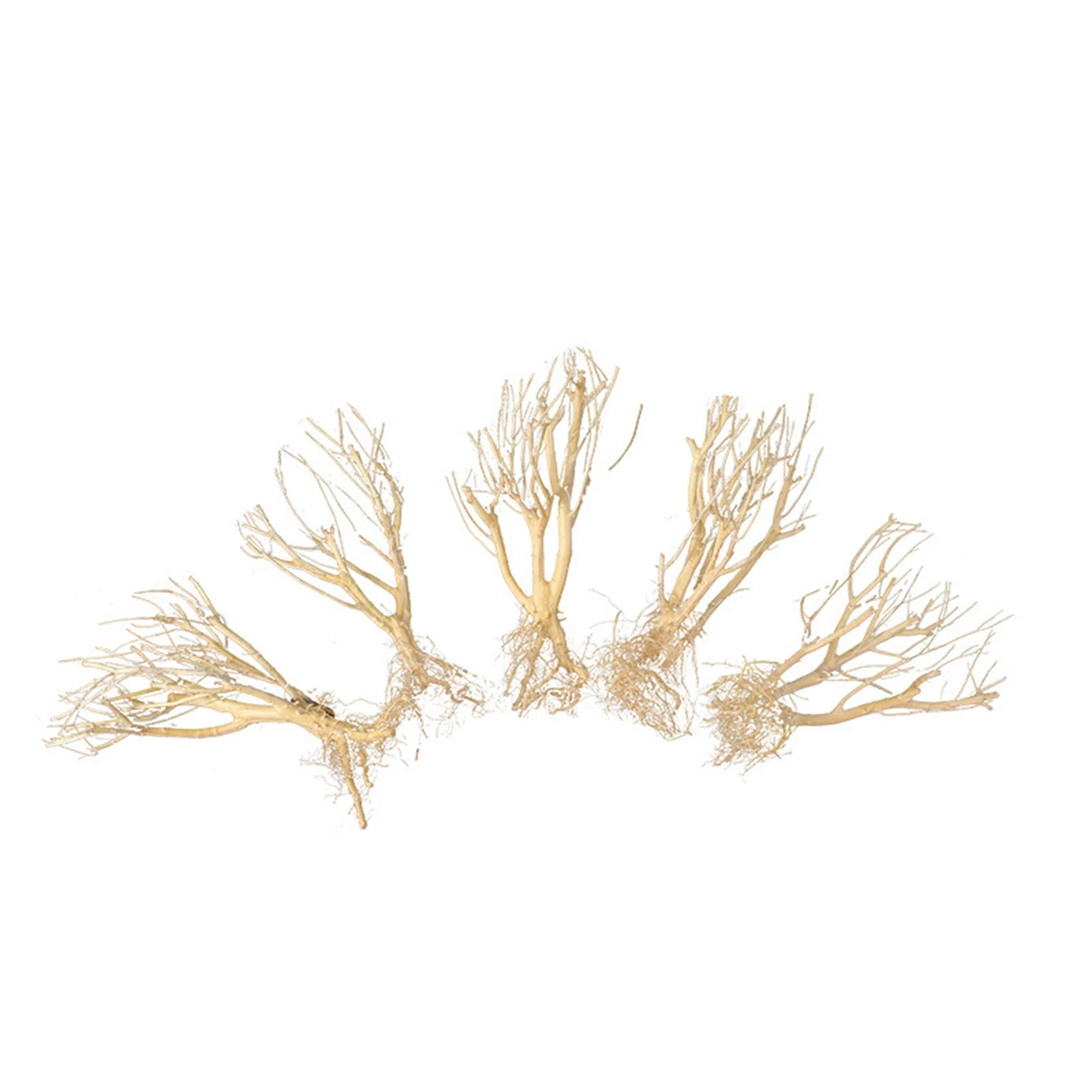 New DIY Driftwood Aquarium Mos - Aquarium Plant On Wood のレビューと価格