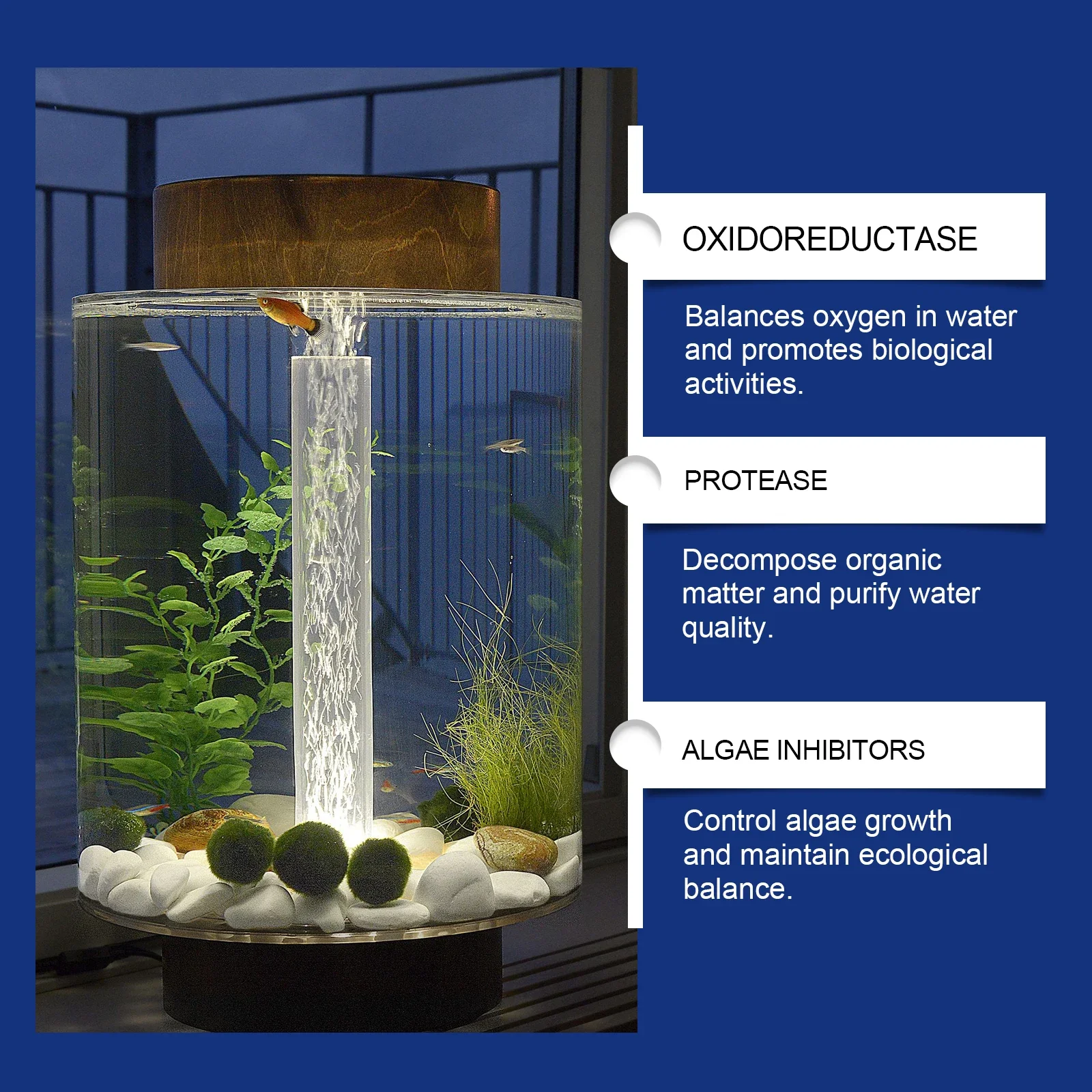 Aquarium Water Clarifier Fish  - Aquarium Plant Liquid Fertilizer のレビューと価格