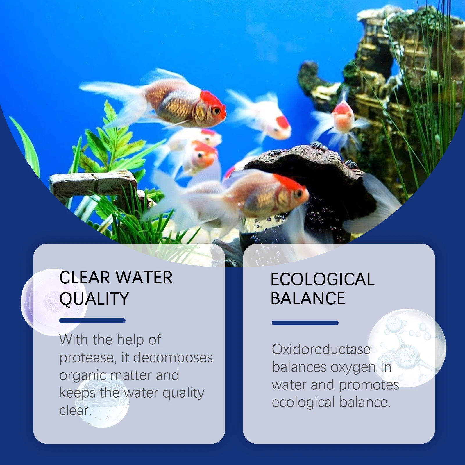 Aquarium Water Clarifier Fish  - Aquarium Plant Liquid Fertilizer のレビューと価格