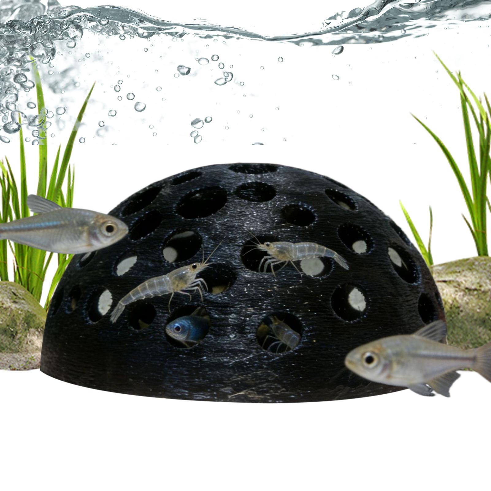 Porous Shrimp Cave Natural Dom - Aquarium Planted Shop のレビューと価格