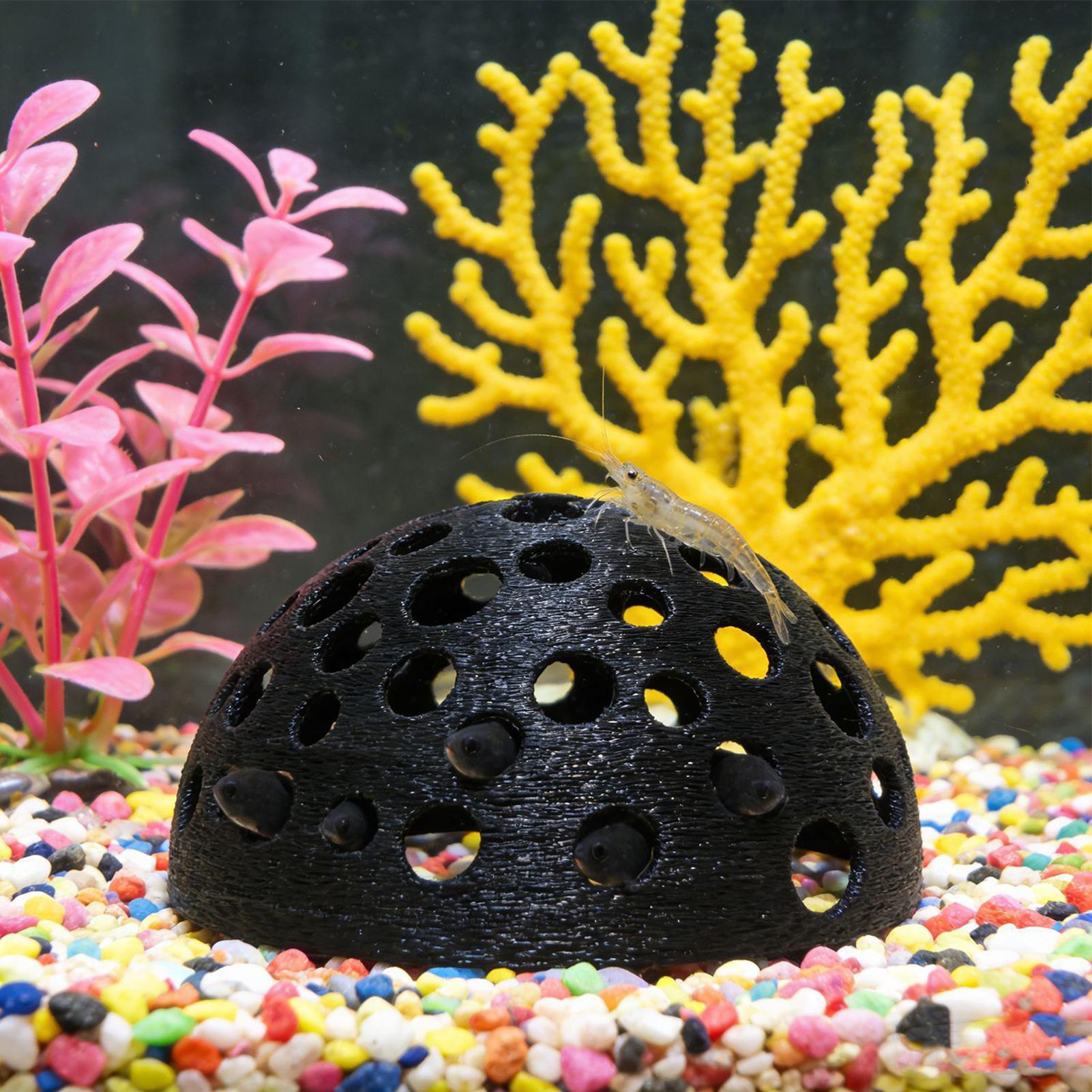 Porous Shrimp Cave Natural Dom - Aquarium Planted Shop のレビューと価格