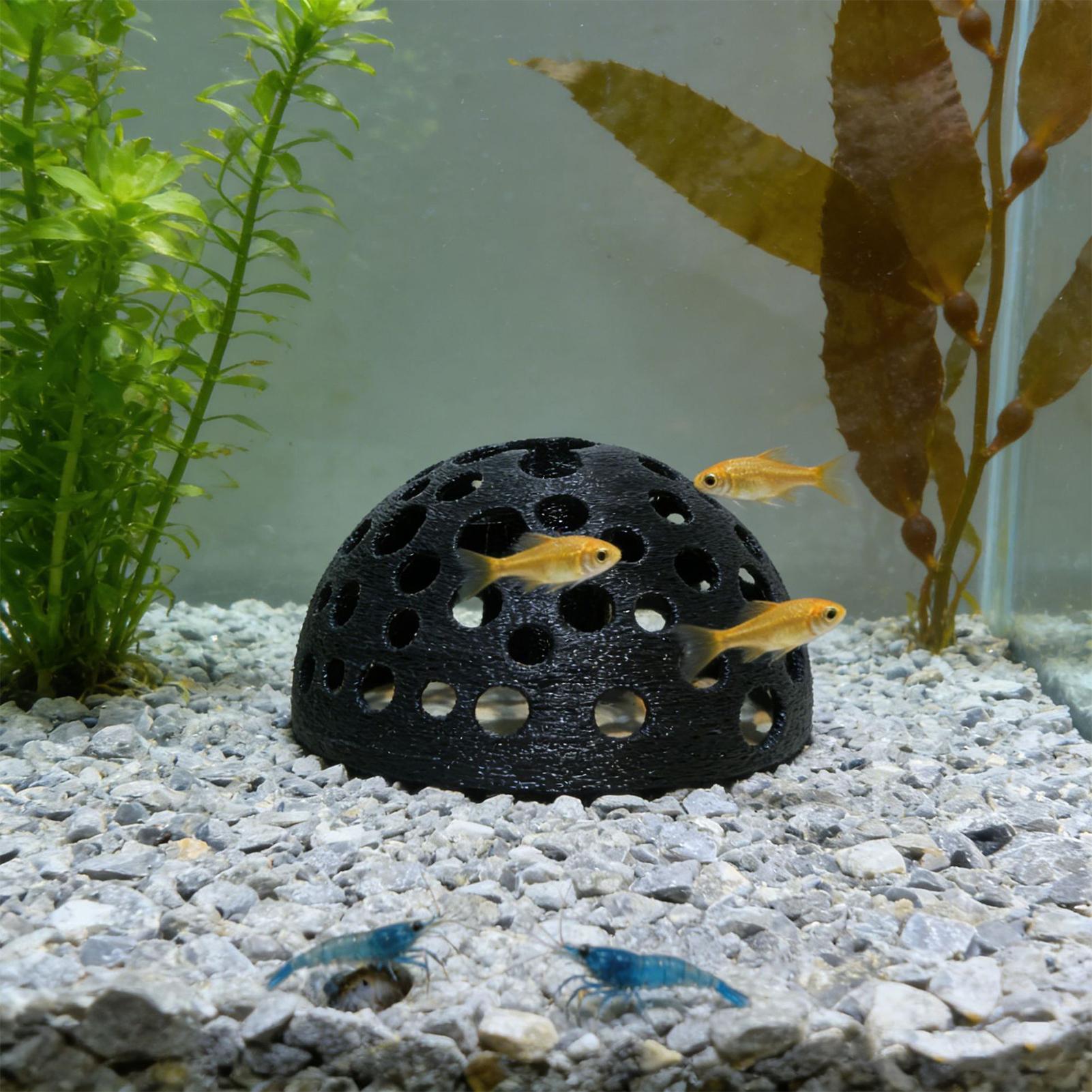 Porous Shrimp Cave Natural Dom - Aquarium Planted Shop のレビューと価格