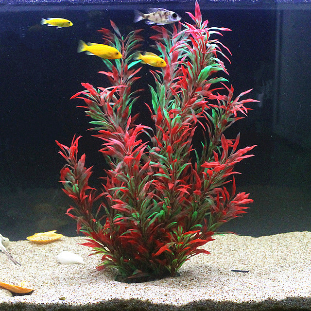 50CM Artificial Fish Tank Rare - Aquarium Plant Delivery のレビューと価格