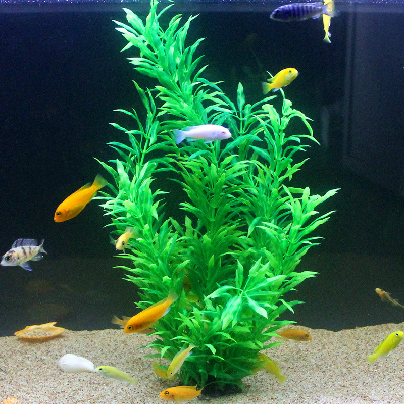 50CM Artificial Fish Tank Rare - Aquarium Plant Delivery のレビューと価格