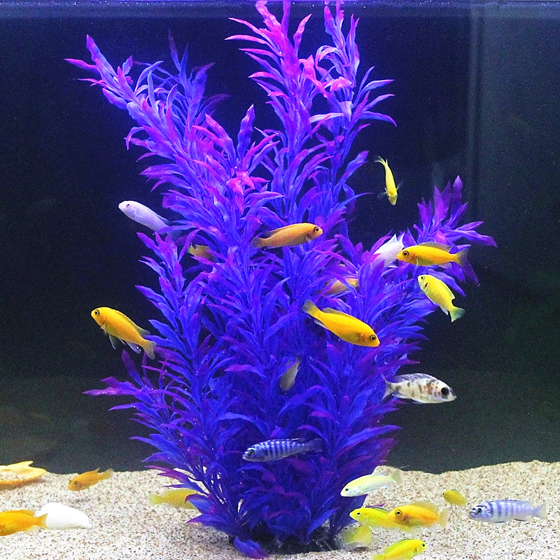 50CM Artificial Fish Tank Rare - Aquarium Plant Delivery のレビューと価格