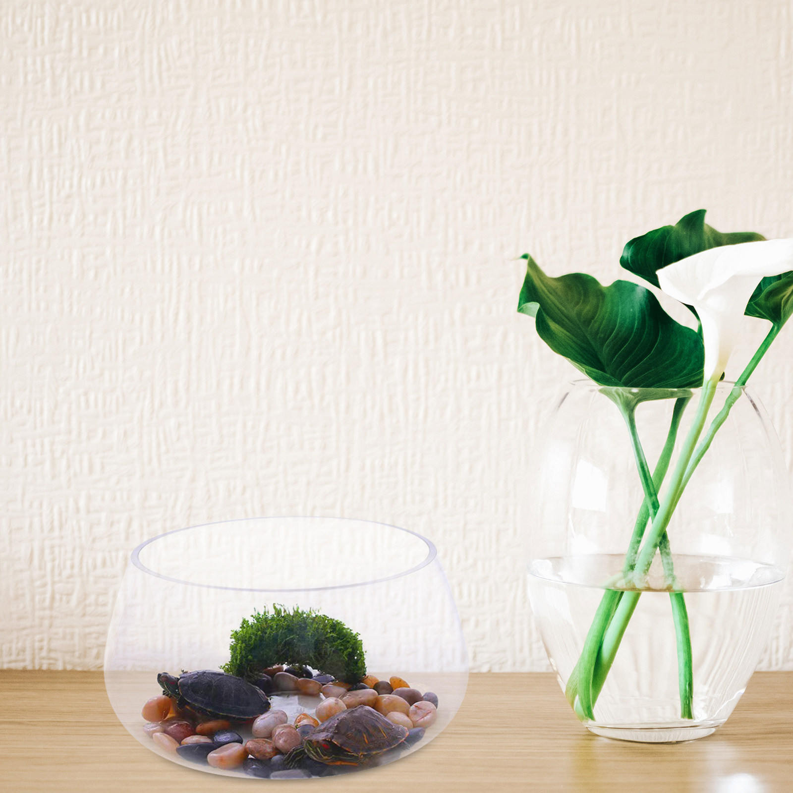 Round Mini Aquarium Transparen - Aquarium Planted Shop のレビューと価格