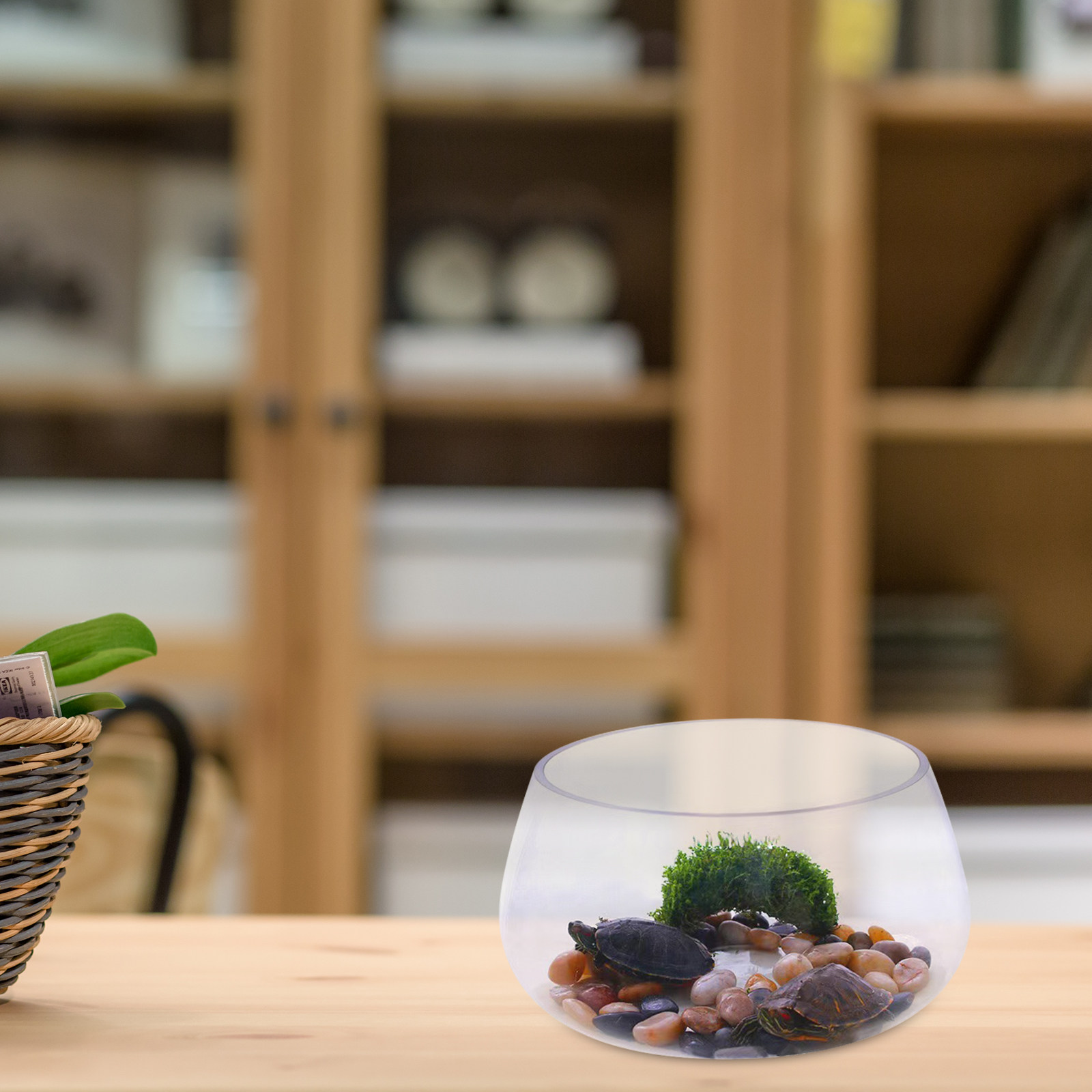 Round Mini Aquarium Transparen - Aquarium Planted Shop のレビューと価格