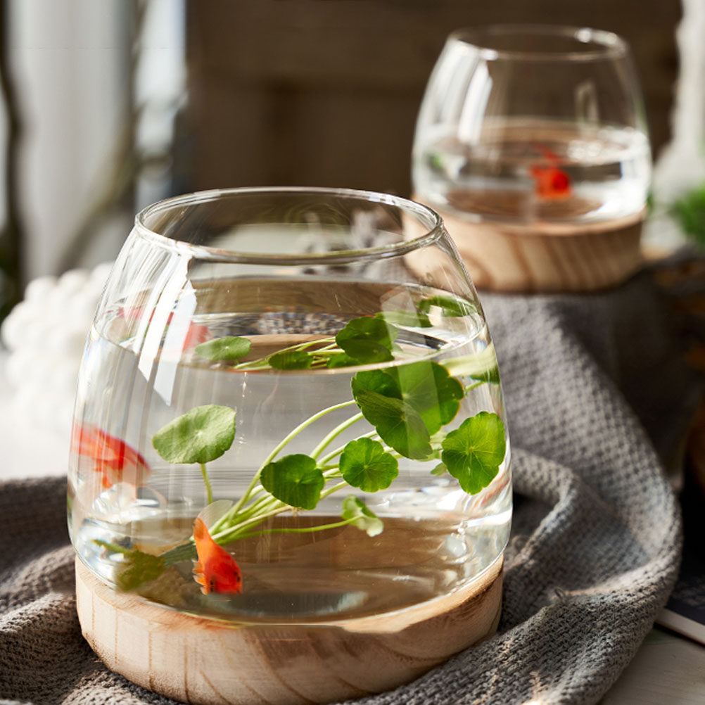 1Set Wooden Base Glass Hydropo - Aquarium Planted Aquarium のレビューと価格