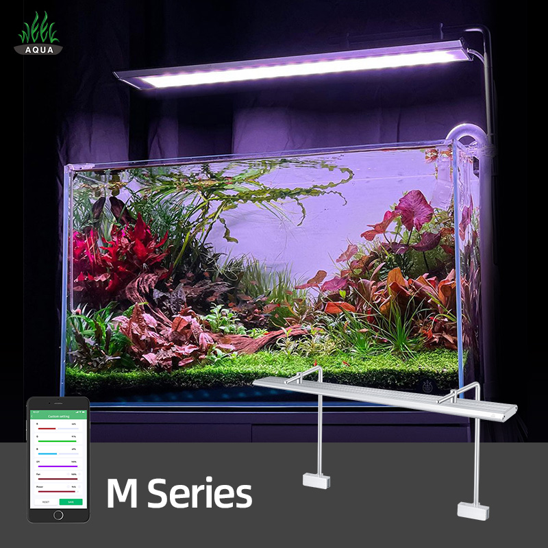 Wrgb Led Aquarium Lights For L - Planted Aquarium Cycling のレビューと価格