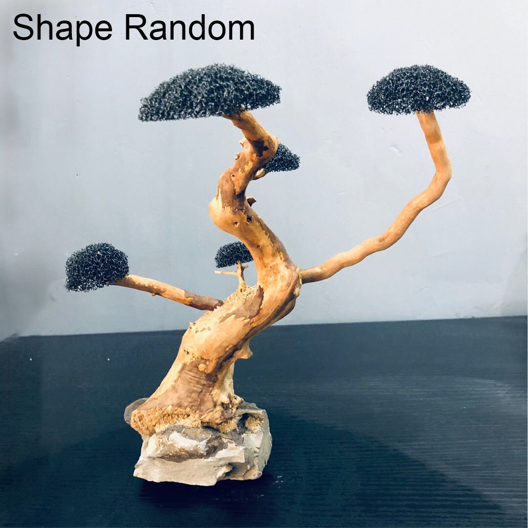 Aquarium Decoration Moss Drift - Aquarium Plant Root Tabs のレビューと価格