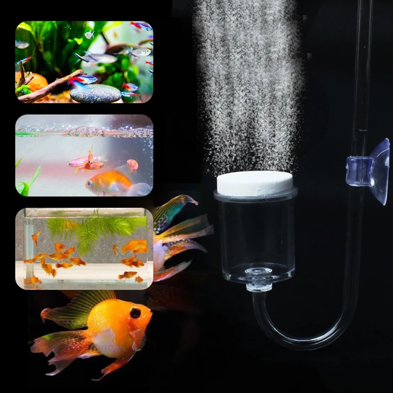 4pcs Set DIY CO2 Diffuser For  - Aquarium Plant Delivery のレビューと価格