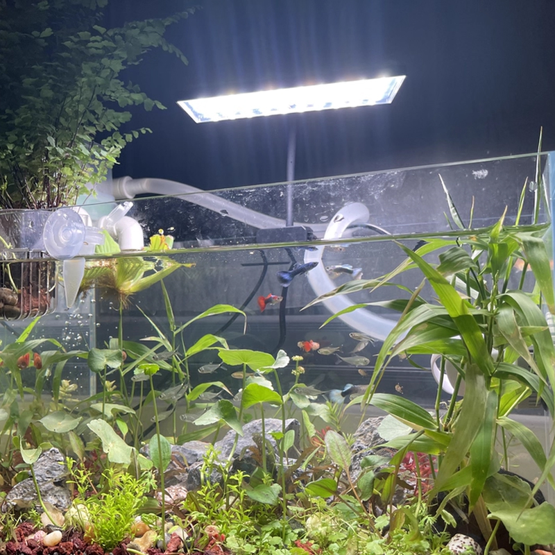Aquarium Fish Tank Full Spectr - Planted Aquarium Cycling のレビューと価格