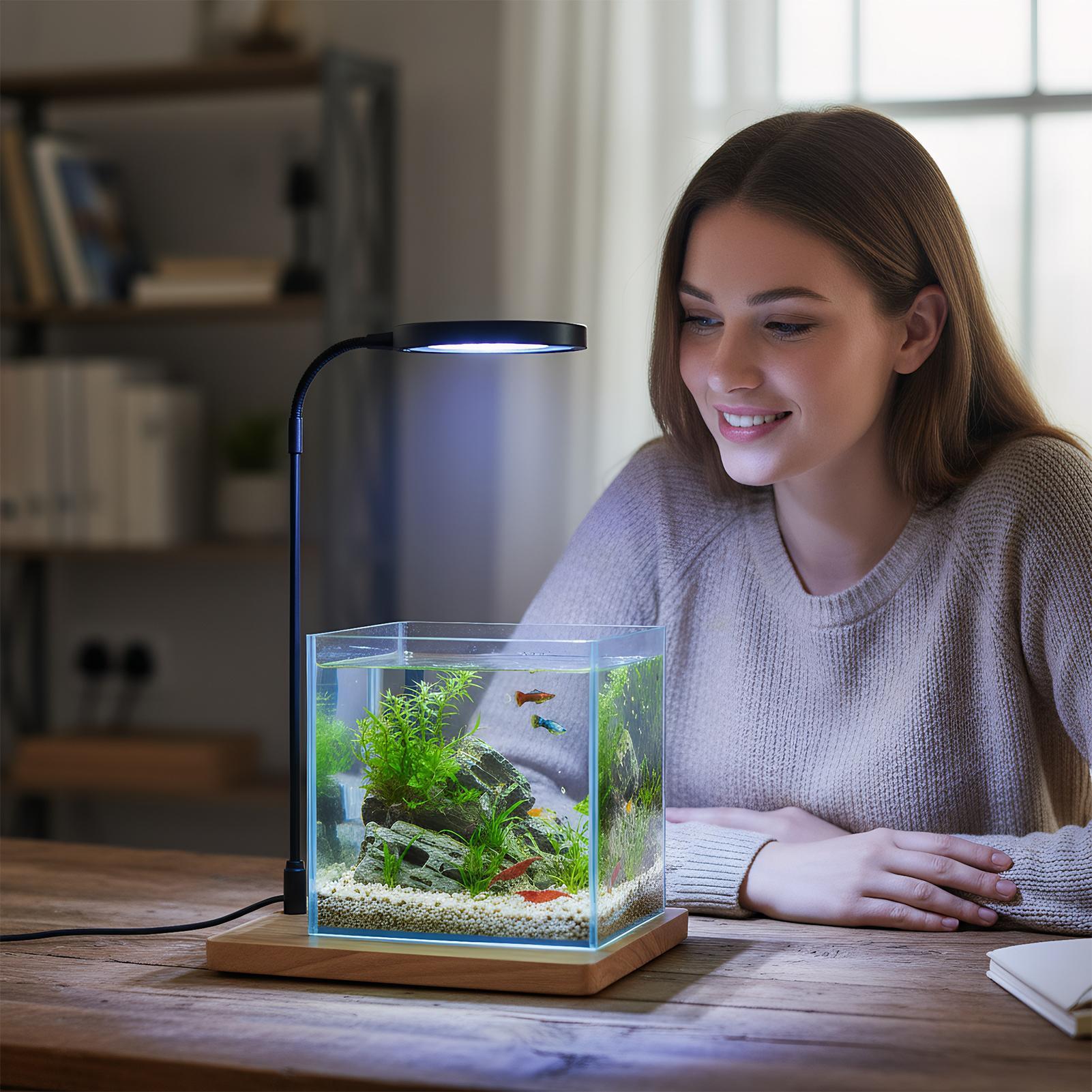 Plant Lights For Indoor Growin - Aquarium Plant On Wood のレビューと価格