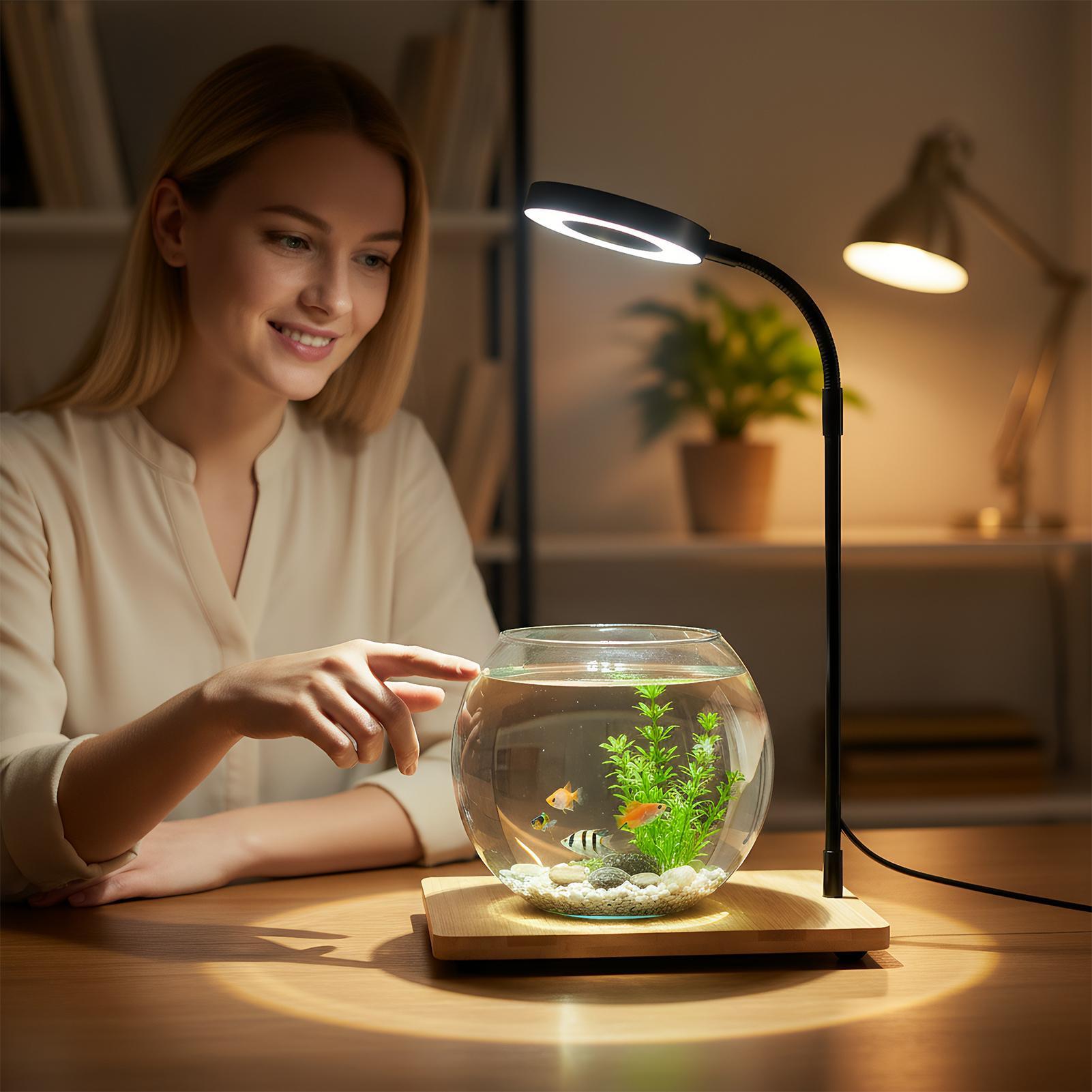 Plant Lights For Indoor Growin - Aquarium Plant On Wood のレビューと価格