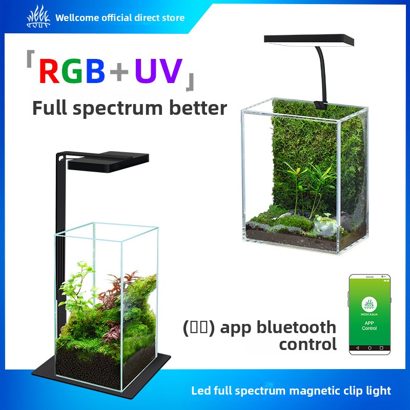 Week Aqua Mini9Pro Magnetic Cl - Planted Aquarium Jar のレビューと価格