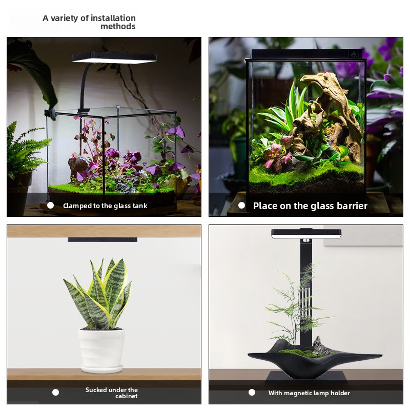 Week Aqua Mini9Pro Magnetic Cl - Planted Aquarium Jar のレビューと価格